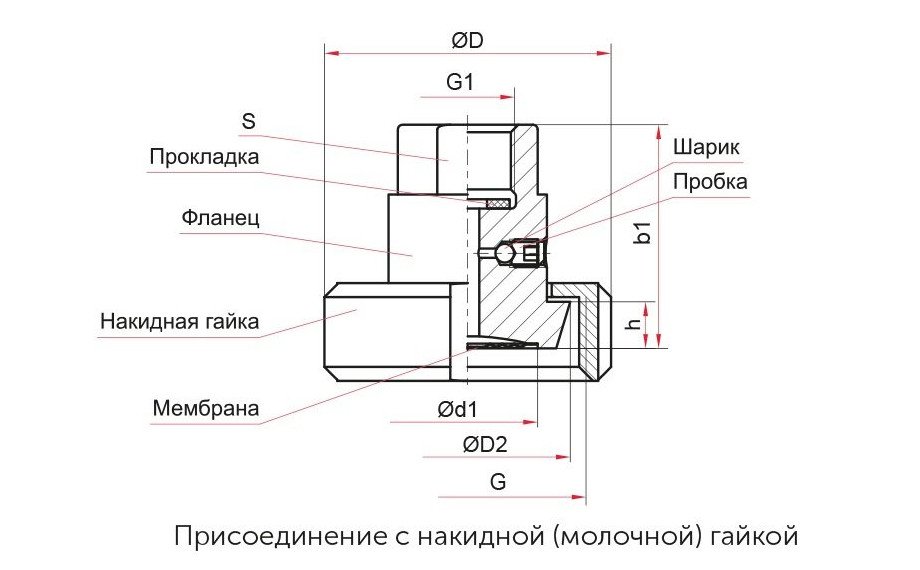 изображение_2024-05-29_143704380.png