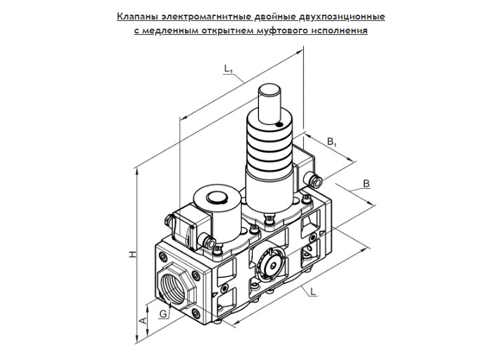 изображение_2024-06-27_020215748.png