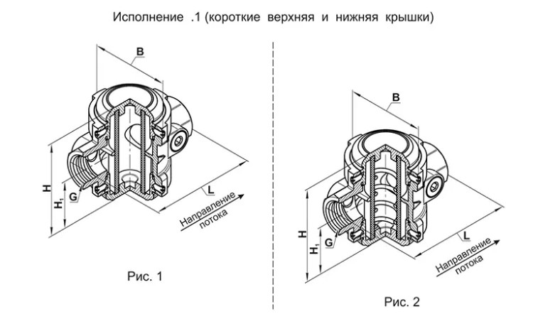 изображение_2024-07-01_140315172.png