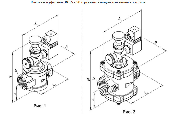 изображение_2024-07-12_164347884.png