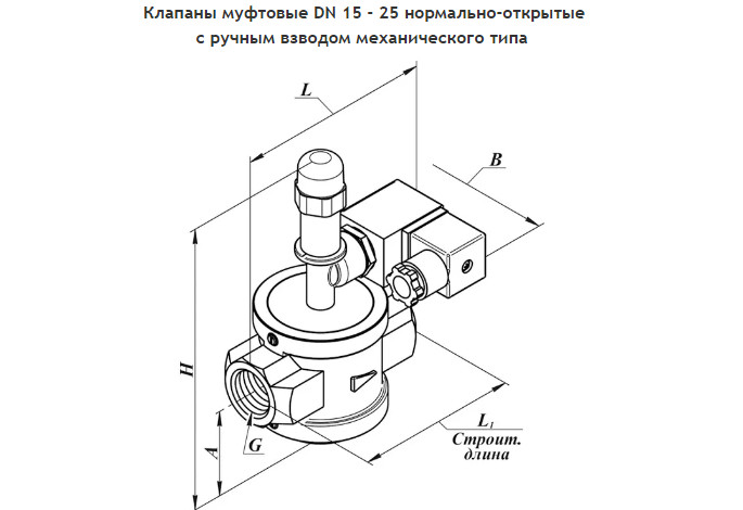 изображение_2024-07-17_154018889.png